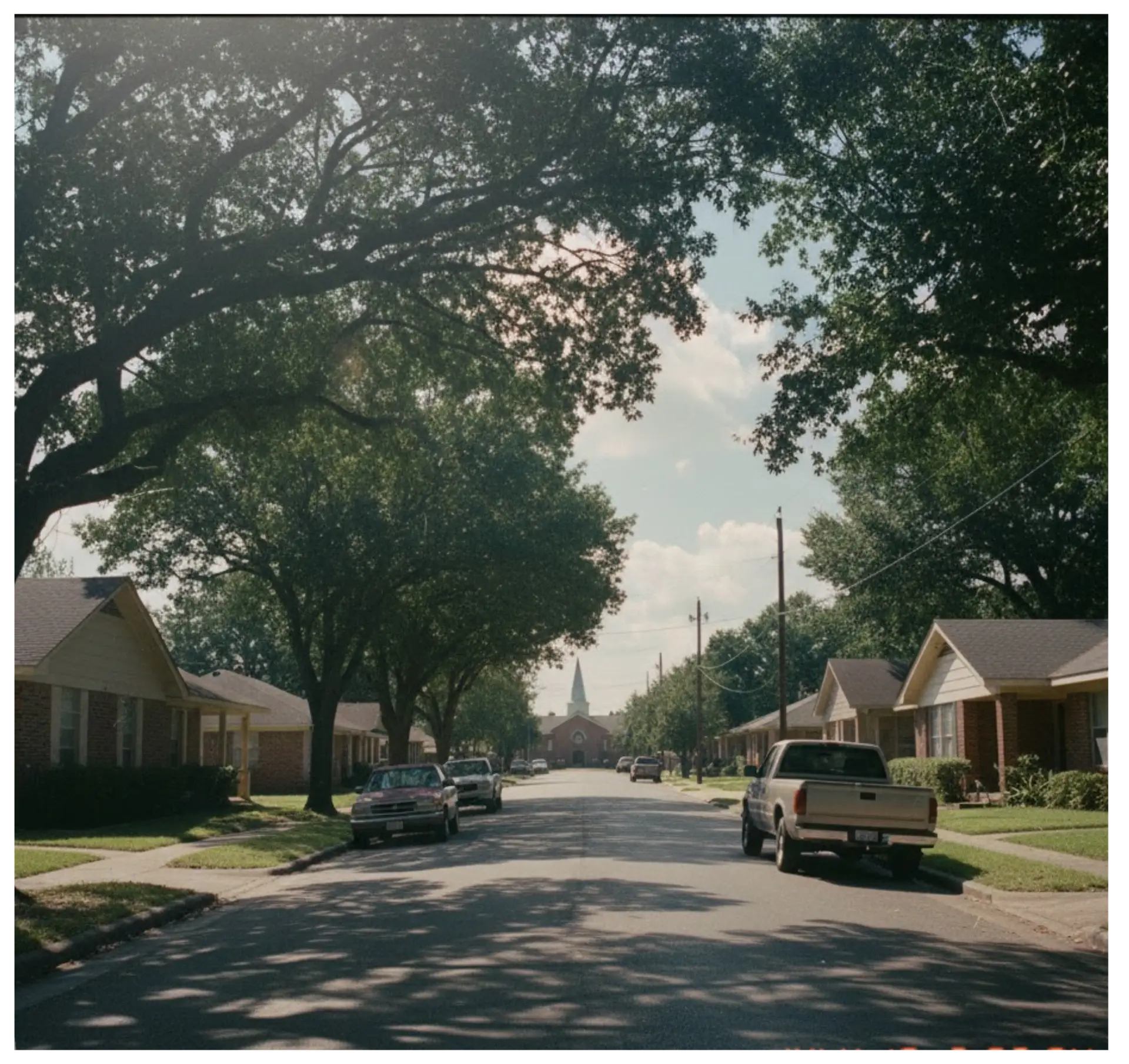 Residential street in Houston County with houses, trees, and a church steeple in the background, reflecting local community and pest control service area.