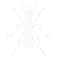 Ant Control