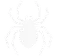 Spider Control