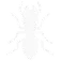 Termite & Sentricon
