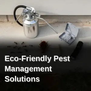 Technician applying eco-friendly pest control at a family home