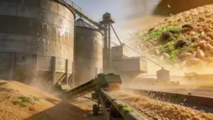Warm, humid conditions across East Texas grain storage and feed operations create ideal breeding grounds