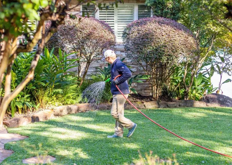 Man watering lush green lawn