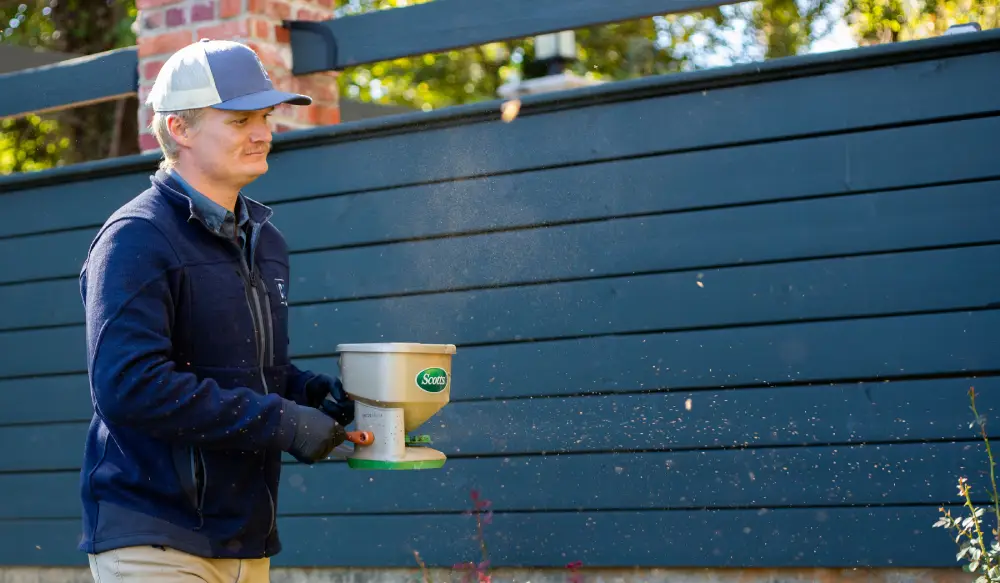 Man applying fertilizer to lawn