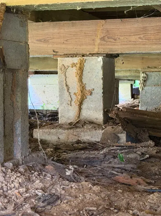 Man cleaning porch ceiling - Termite Protection and Sentricon Inspection
