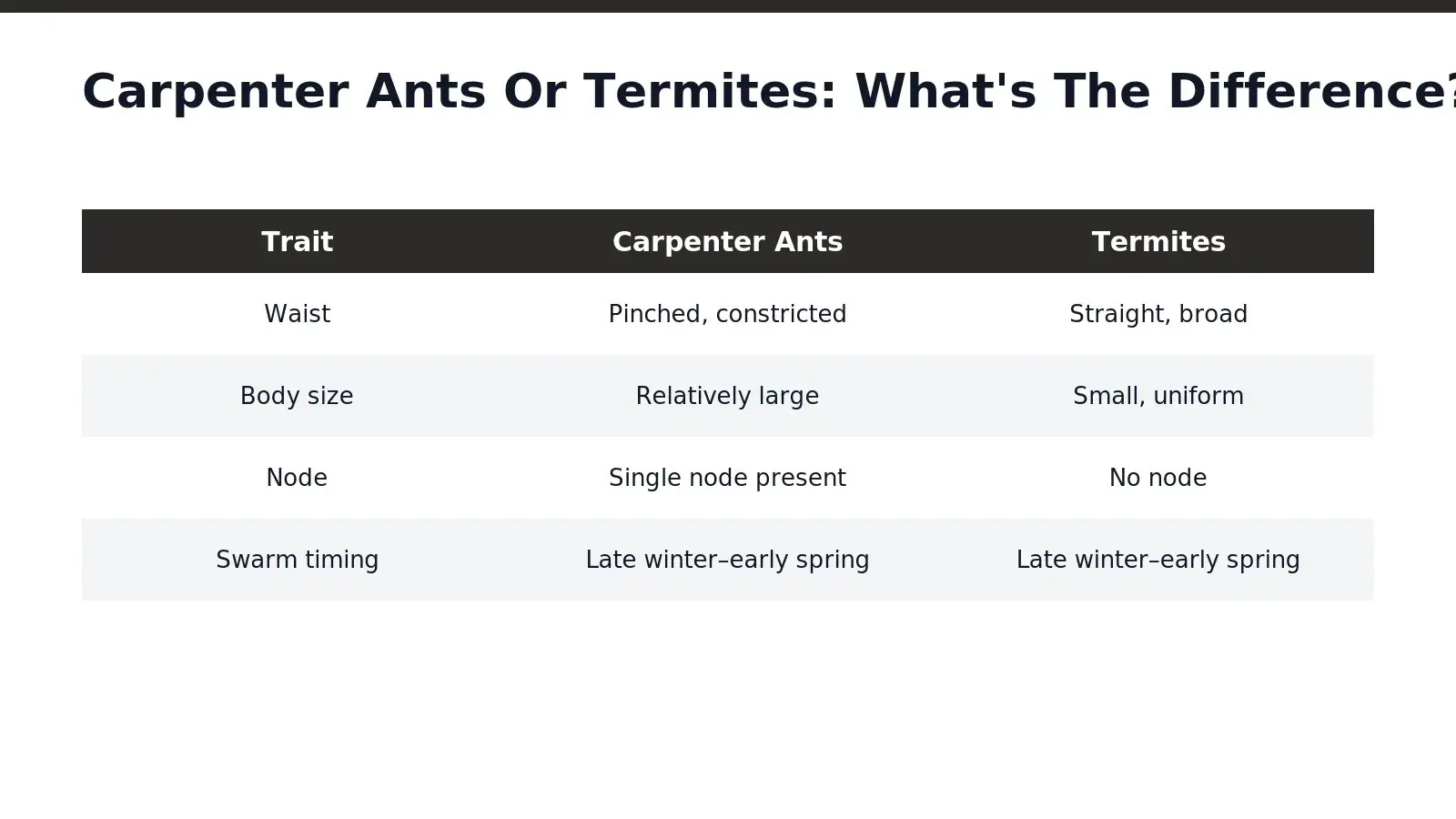 Body shape settles the question faster than any other clue. Carpenter ants show a pinched