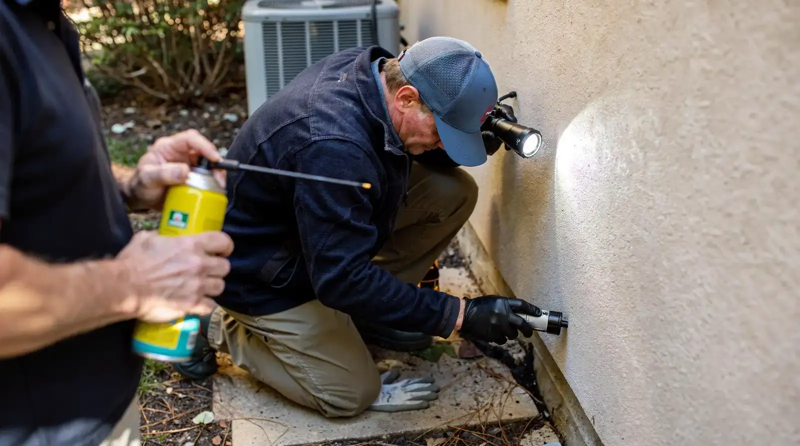 Certified pest control technicians should be your first call, not a big-box insecticide spray. Huntsville