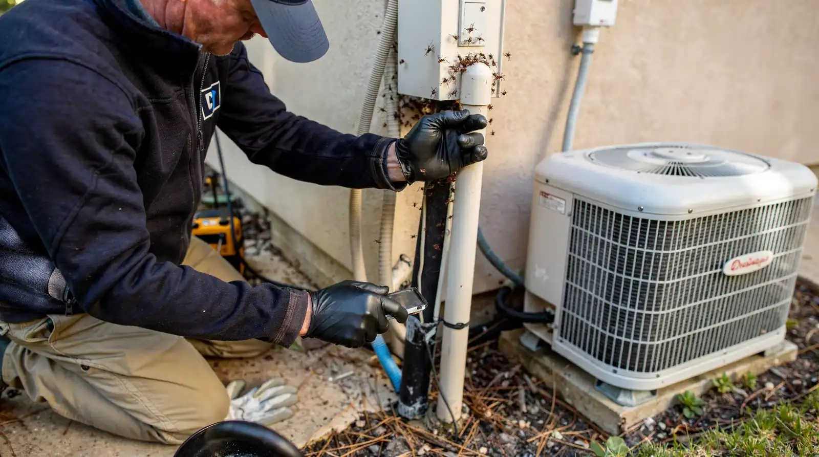 Yes. Crazy ants swarm inside outlets, appliances, and electrical equipment, sometimes causing damage that fire