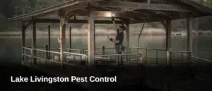 Boathouses and covered docks rank among the biggest spider magnets on Lake Livingston, thanks